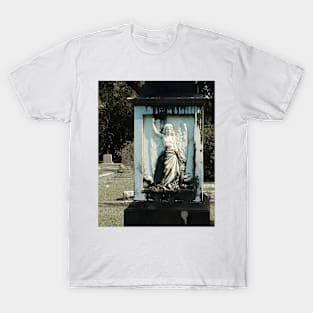 Carved in Stone T-Shirt